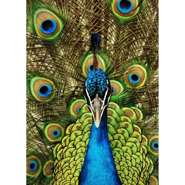 Puzzle image of blue and green Peacock 1000 piece jigsaw puzzle by Sorus Puzzles